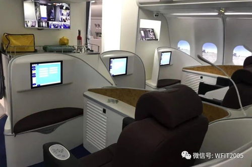 匠心筑夢，翱翔未來——濰理工航空服務與酒店管理學院2024招生季
